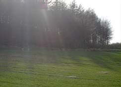 Viltrika marker 2004-04-22 023.jpg